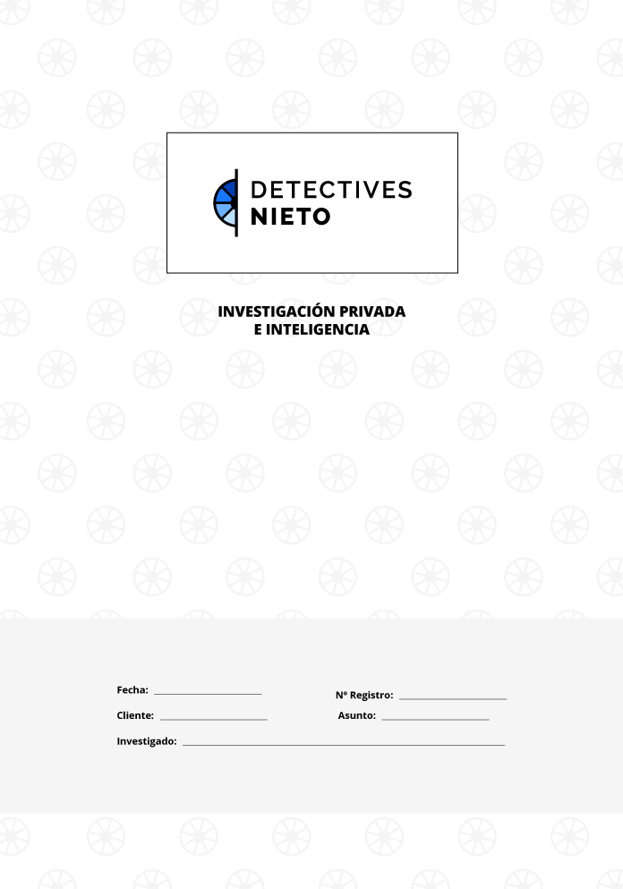 Imagen del informe con el procedimiento de investigación de Detectives Nieto